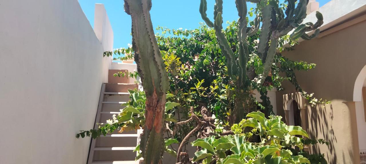 Les Etoiles Du Ksar Hotell Mirleft Eksteriør bilde